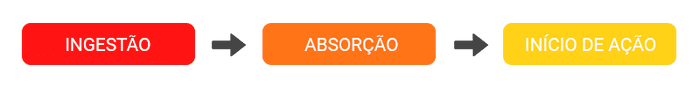 Ingestão -- Absorção -- Início de ação